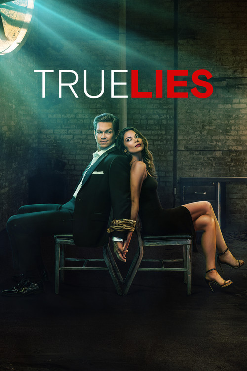 True Lies постер