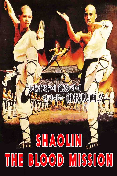 Sadae Shaolin Temple постер