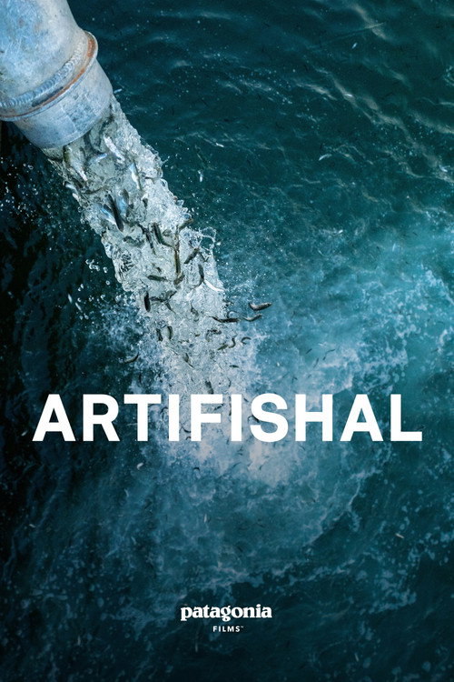Artifishal постер