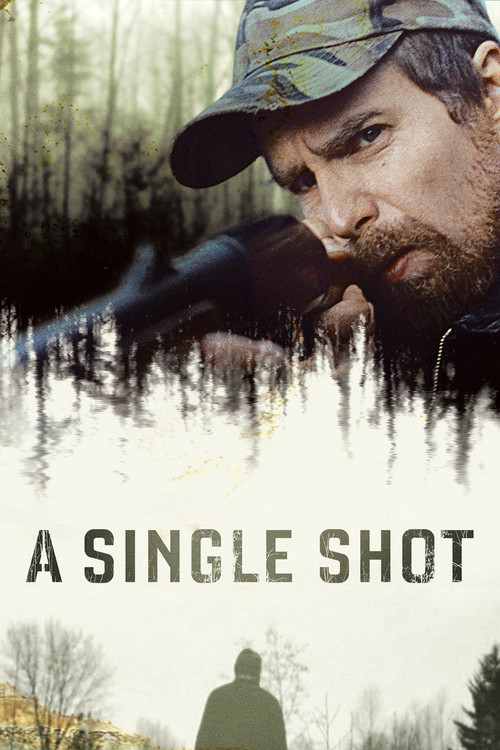 A Single Shot постер