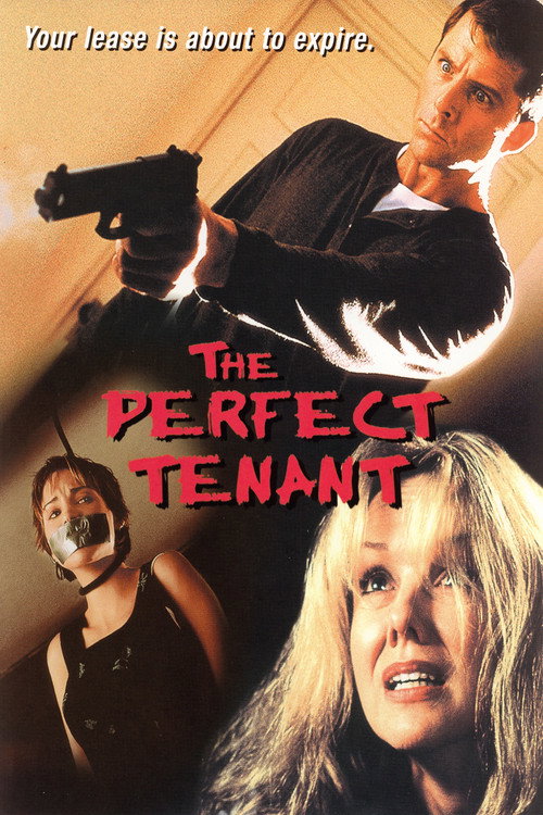 The Perfect Tenant постер