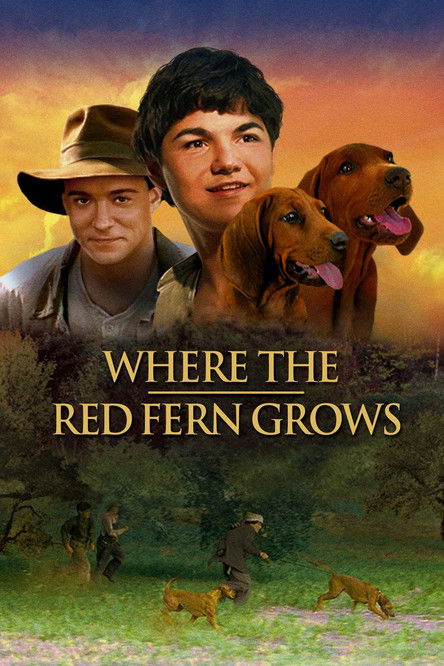 Where the Red Fern Grows постер