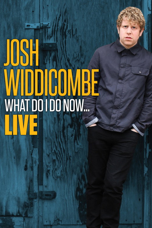 Josh Widdicombe: What Do I Do Now... постер