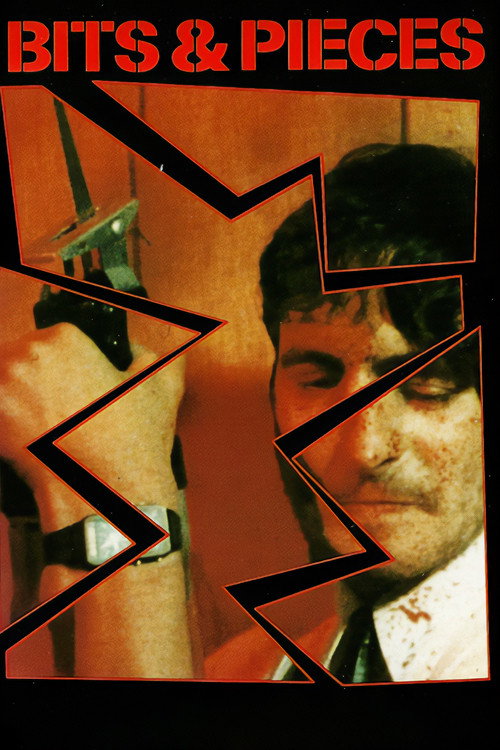 Bits and Pieces постер