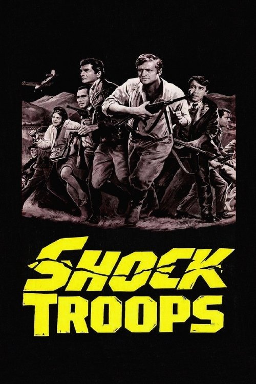 Shock Troops постер