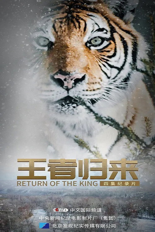 王者归来 постер