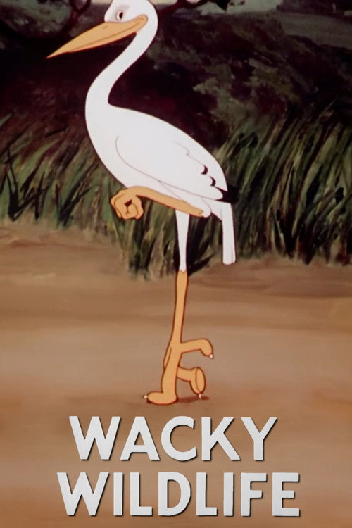Wacky Wildlife постер