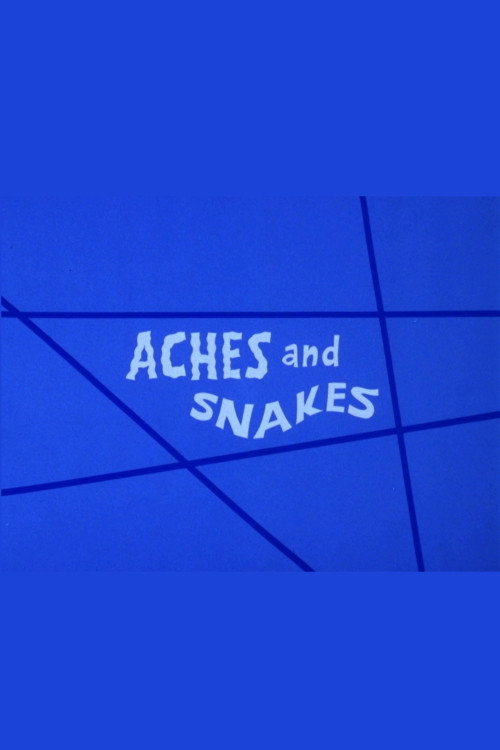 Aches and Snakes постер