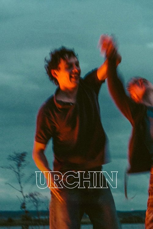 Urchin постер