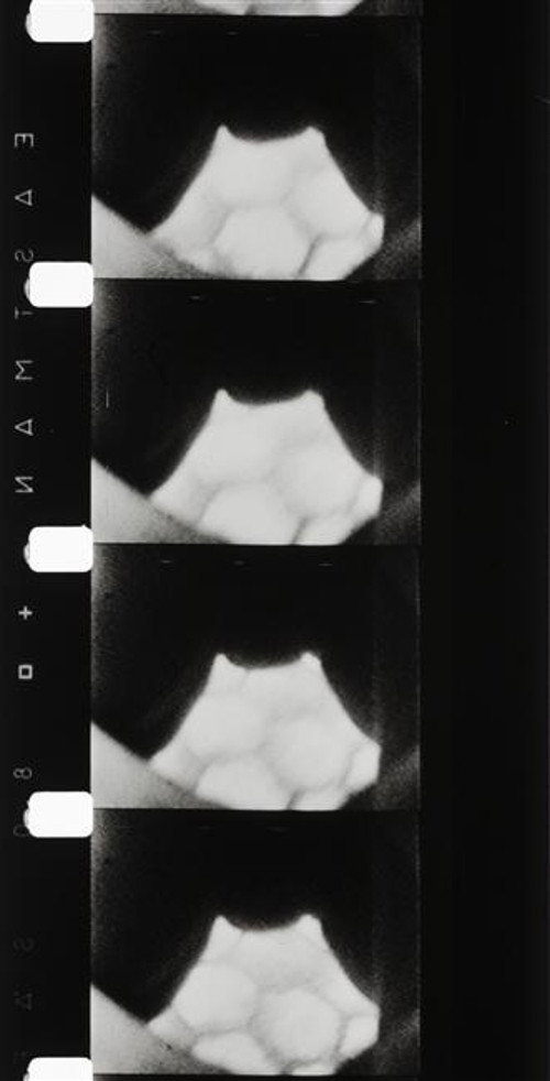 Hapax Legomena IV: Travelling Matte постер