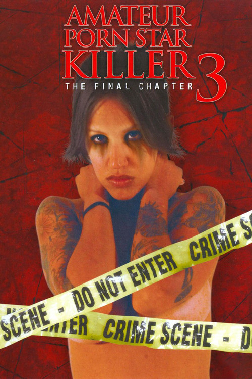 Amateur Porn Star Killer 3: The Final Chapter постер