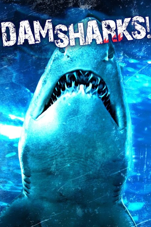 Dam Sharks! постер