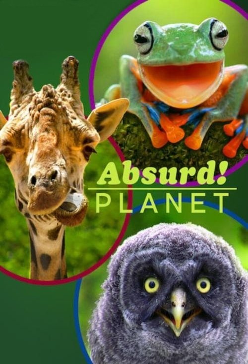 Absurd Planet постер