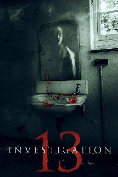 Investigation 13 постер
