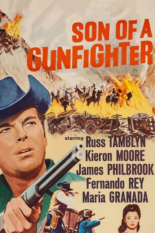 Son of a Gunfighter постер