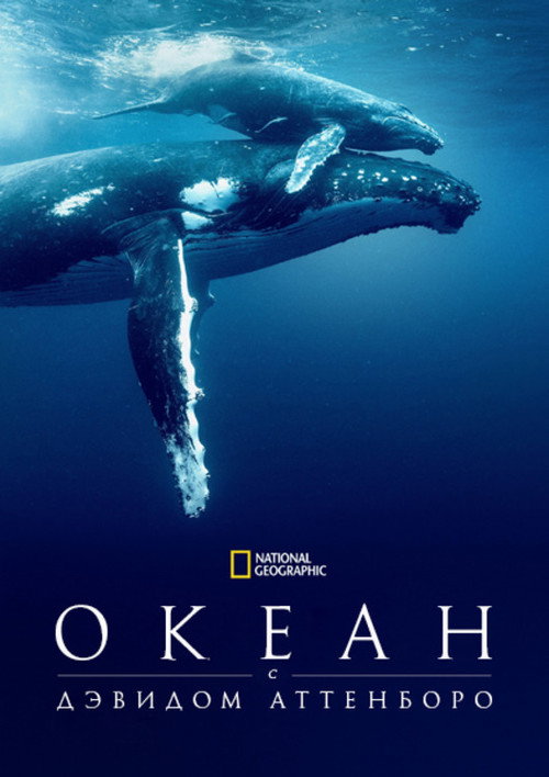 Океан с Дэвидом Аттенборо постер
