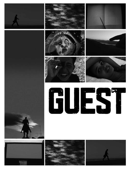 Guest постер