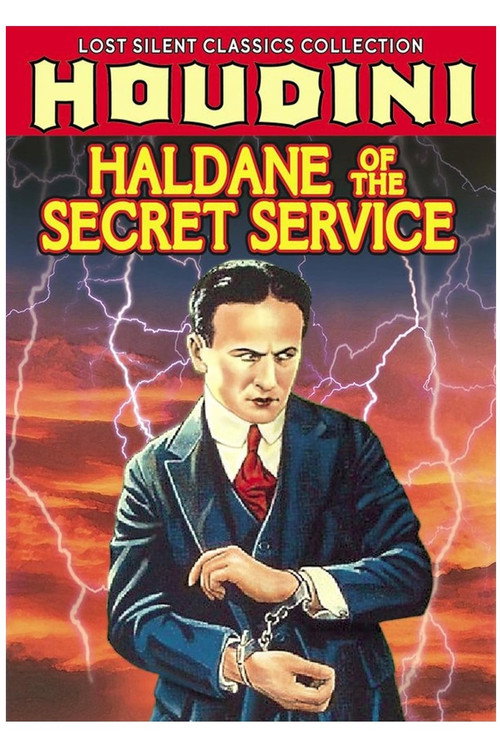 Haldane of the Secret Service постер