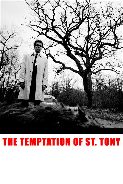 The Temptation of St. Tony постер