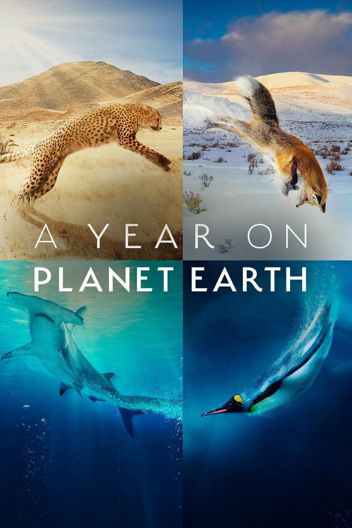 A Year on Planet Earth постер