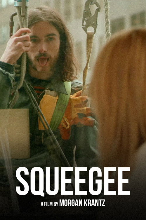 Squeegee постер