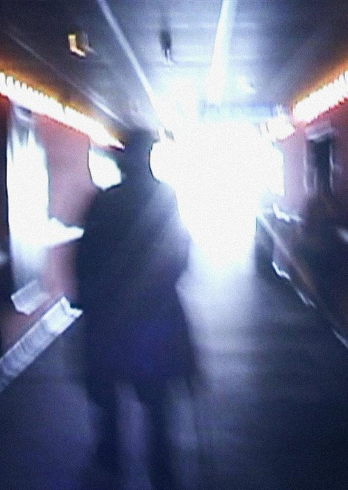Stan Brakhage Exits the Cinema and Enters the Light of Day постер