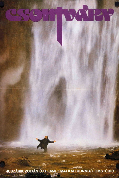 Csontvary постер