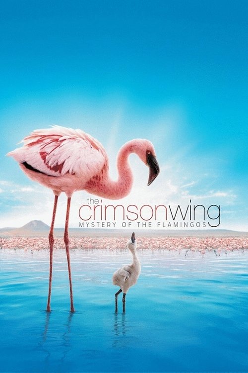 The Crimson Wing: Mystery of the Flamingos постер