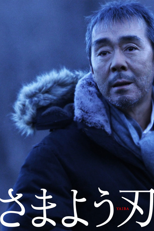 さまよう刃 постер