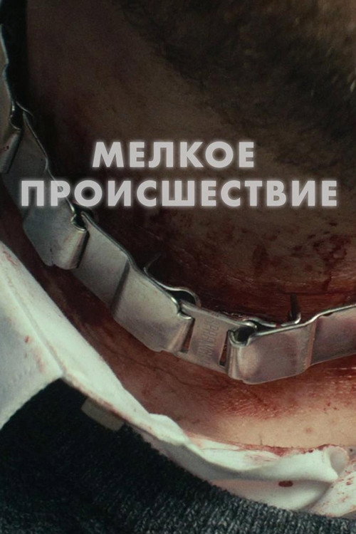 Мелкое происшествие постер