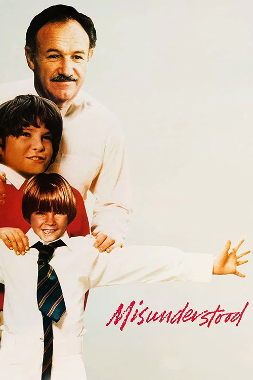 Misunderstood постер