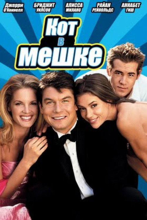 Кот в мешке постер