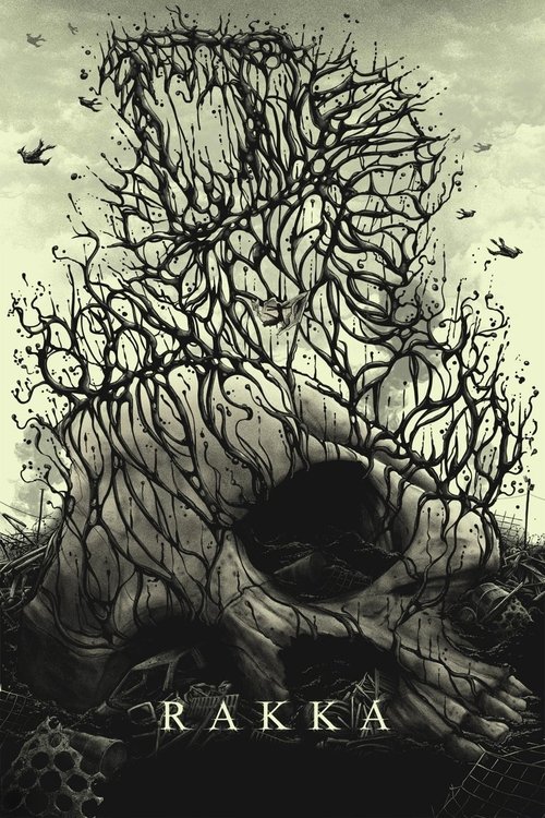 Ракка постер
