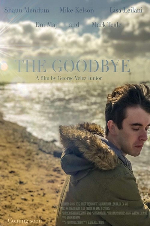 The Goodbye постер