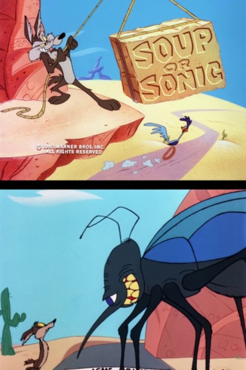 Soup or Sonic постер