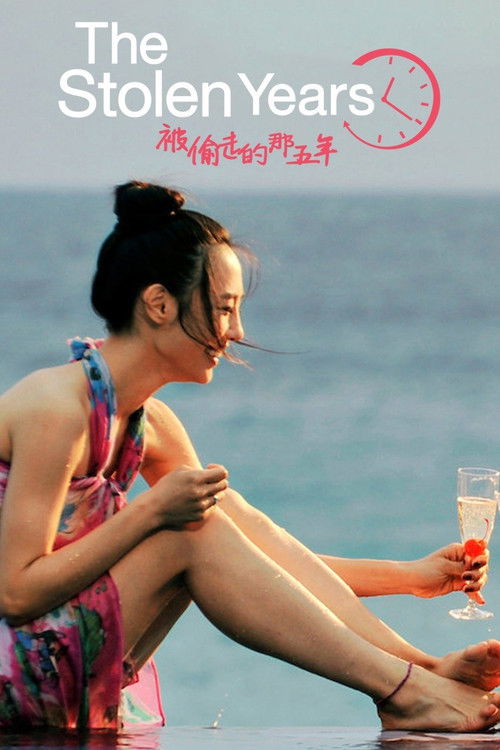 被偷走的那五年 постер