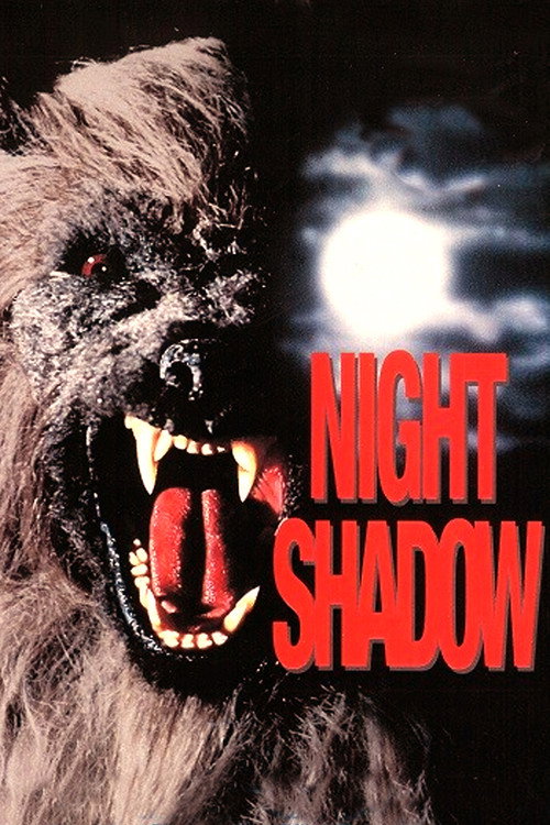 Night Shadow постер