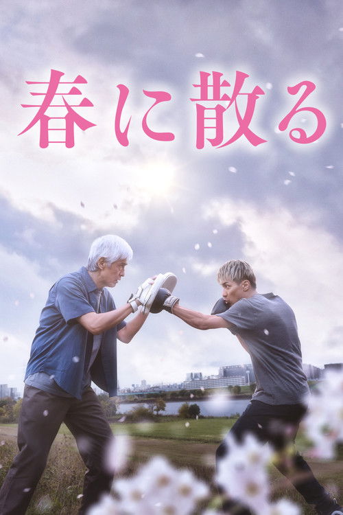 春に散る постер