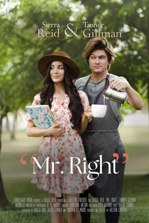 Mr. Right постер