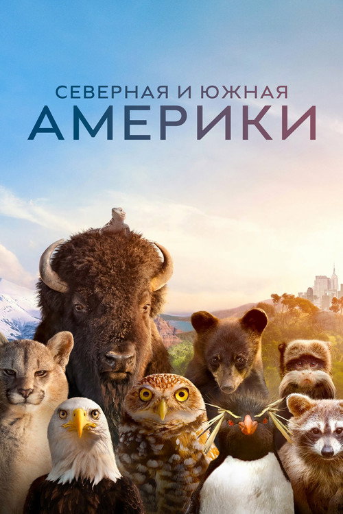 Америка постер