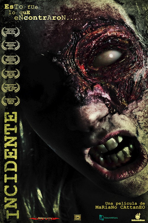 Incidente постер