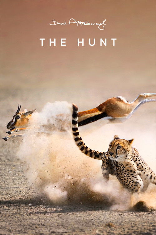 The Hunt постер