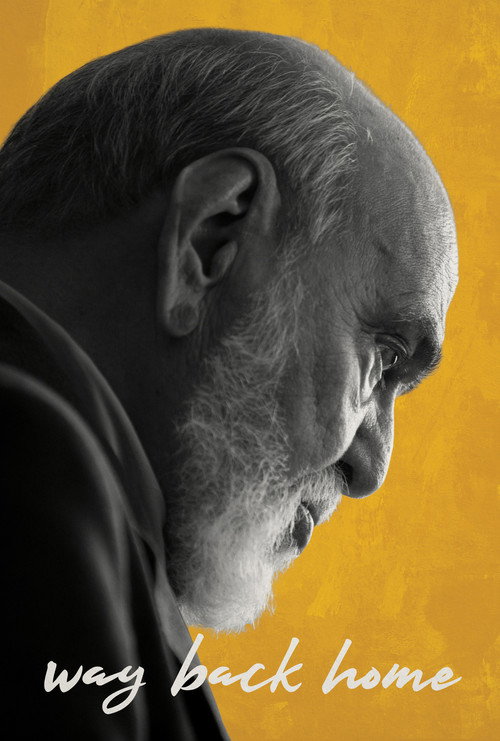 A volta para casa постер