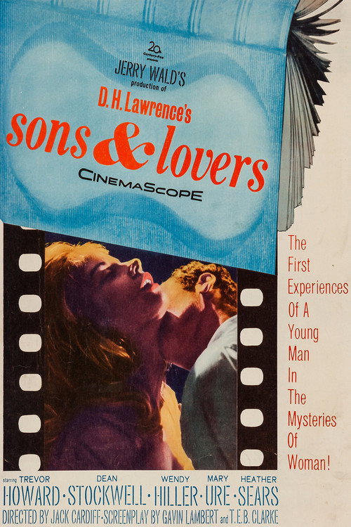 Sons and Lovers постер