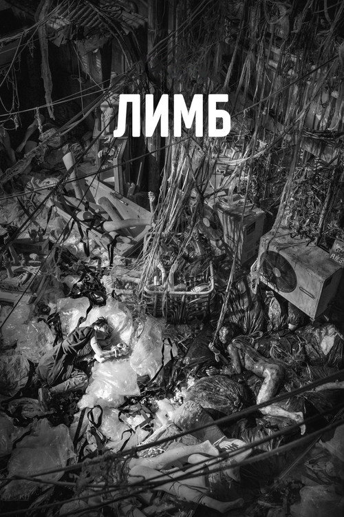 Лимб постер