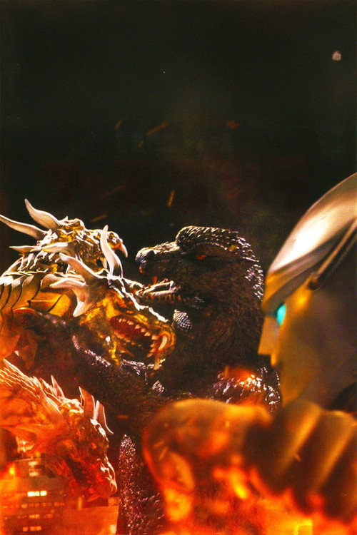 フェス・ゴジラ5 怪獣大決戦 постер