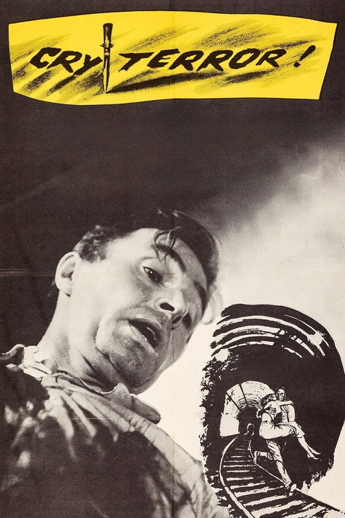 Cry Terror! постер