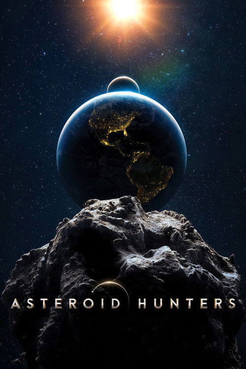 Asteroid Hunters постер