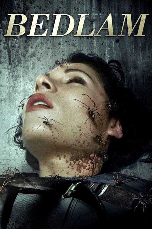 Психбольница Бедлам постер
