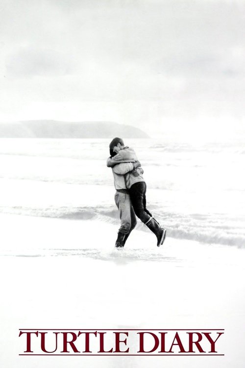 Turtle Diary постер